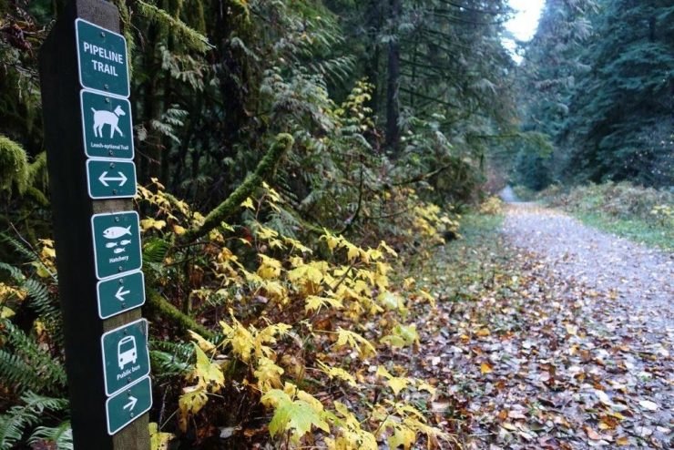 Clear neat signs along the Capilano trail to prevent you getting lost