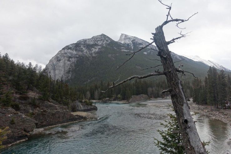 View of the Bow Falls stream as you trek along | Walking Trails in Canada