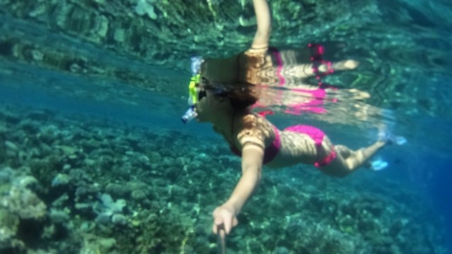 Maldives Snorkelling - Going for a morning snorkel around the island | Maldives marine life