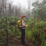 me against the cloudy misty backgroundscenic view along the way | climbing mount rinjani
