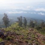 scenery along the hike of mount rinjani
