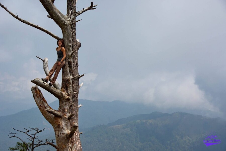 me perched on my tree feeling on top of the world 1 Tree-climbing safety tips | Beginner Tree Climbing Guide