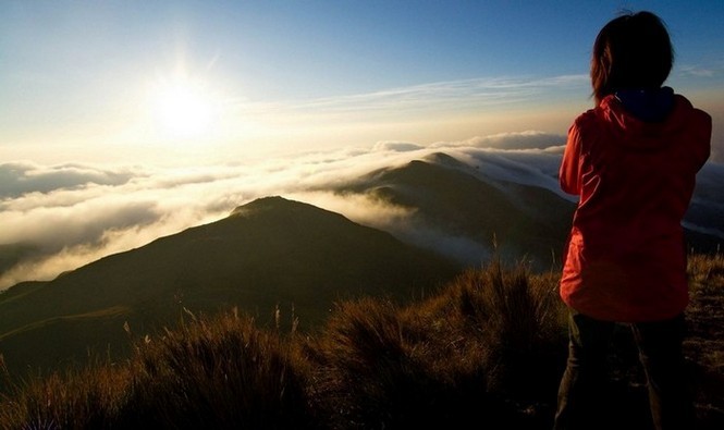 Trekking to the top of Mount Pulag and concluding our 4 days hike
