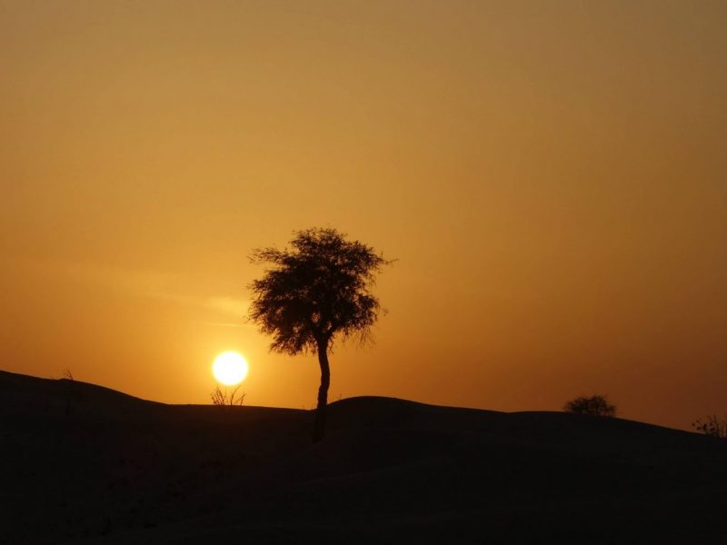 1655698 10153959790160151 1154790507 o e1480864243800 Sunsets at the sand dunes in dubai | Destinations for the Best Sunrises and Sunsets in the World