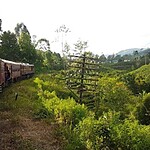 20161227 154139 Top 9 Adventure Activities & Sights in Sri Lanka - Land of Spices and Smiles