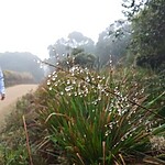 20161229 065920 Top 9 Adventure Activities & Sights in Sri Lanka - Land of Spices and Smiles