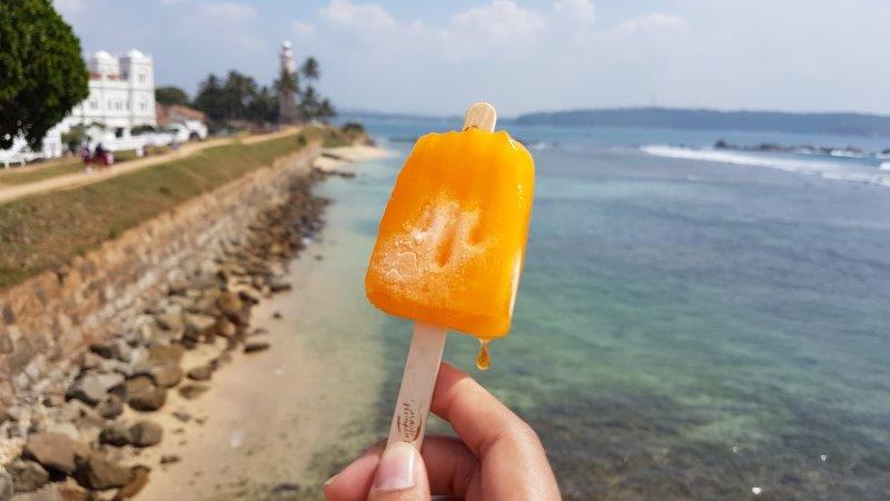 20161231 113929 Photo Gallery