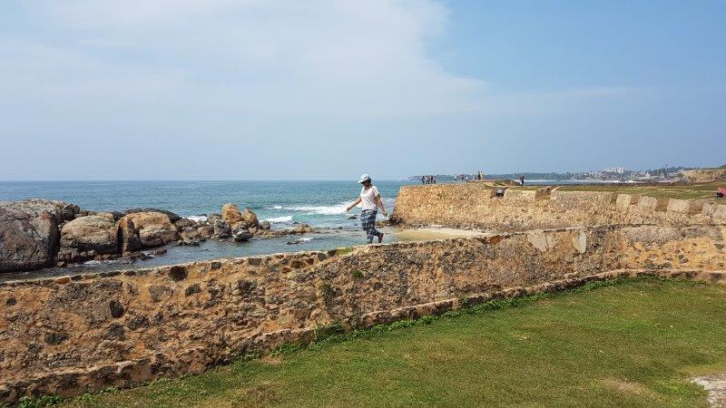 ely on the fort in sri lanka with the coastal backdrop