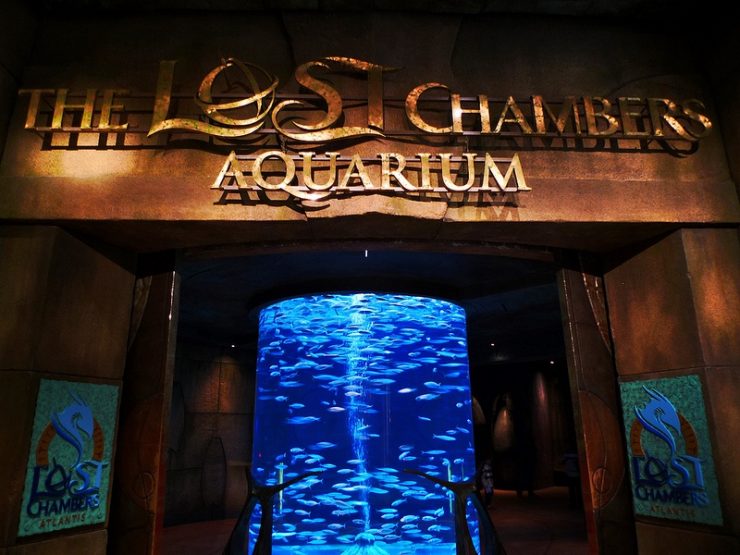 Lost Chambers Aquarium Dubai and All of Middle East 