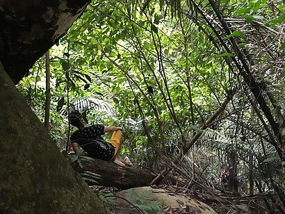 IMG 3436 Resort in Jungle Malaysia | Somebody making himself very comfortable in the jungle