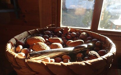 Bowl of hand plucked hazelnuts and walnuts in Siurana. We were gifted a whole bagful before we left!!