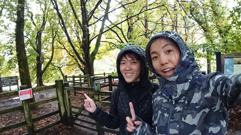 Sheep Pen Gate Entrance at Cadair Idris Trail