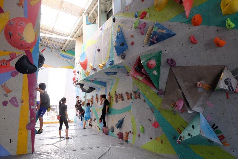 Indoor rock climbing boulder | Photo credited to Pro Climber Climbing Gym