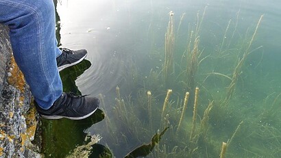 DSC06641 Glass clear water on the lake, remember what I mentioned about the underwater life | Banyoles Lake Activities