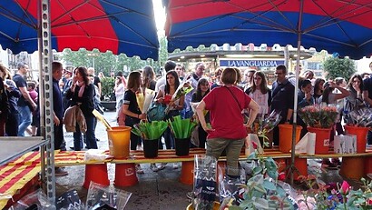 DSC06771 Tones of rose shops selling all types of roses, from red ones to rose bushes to blue roses. The streets were packed and I have never seen so much excitement in buying roses before