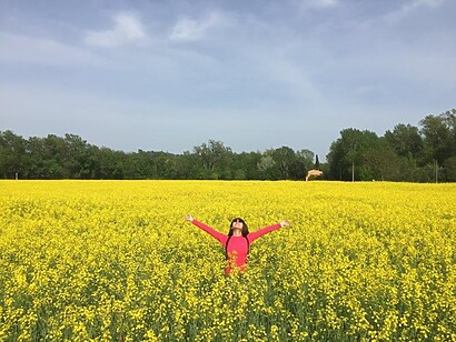 IMG 5008 Welcome to Spain's summer sunshine