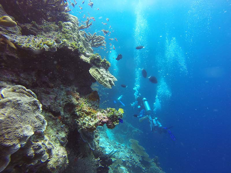 Scuba diving Borneo island Scuba diving Borneo island