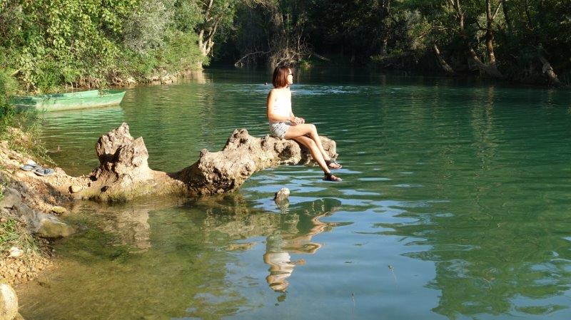 Peaceful stay while fully immersed in nature