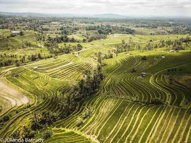 Jatiluwih Bali Jatiluwih Rice Fields in Bali