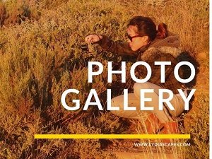 Take a photo journey through the image gallery in Lydiascapes