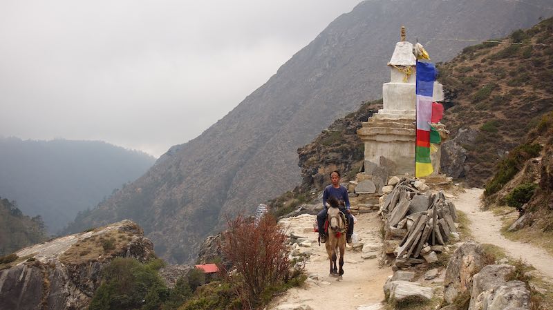 Trekking to Everest Base Camp is truly a unique experience.
