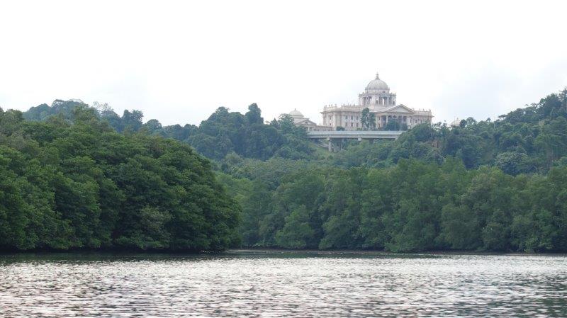 explore the beautiful mangrove rainforest.