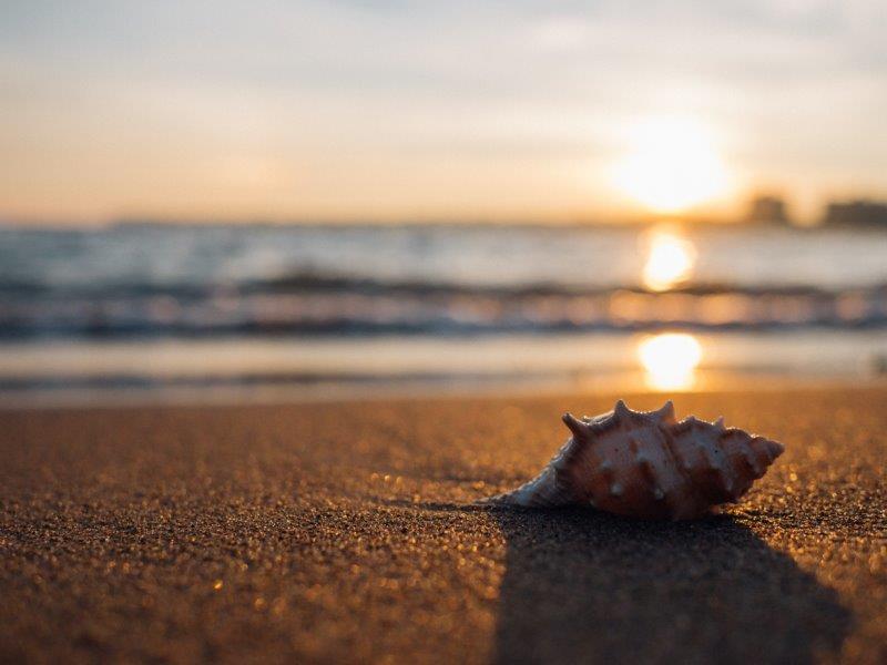 aaron burden LMlVa3QDEXs unsplash aaron burden LMlVa3QDEXs unsplash A Home Retreat we all Need