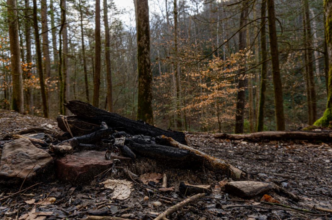 rrg Best time of the year to climb the Red River Gorge