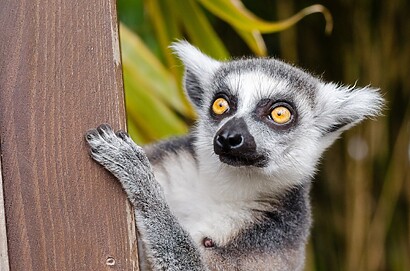 Places to See in Madagascar places to see in madagascar