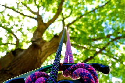 If you are new to tree climbing and would like to learn more about it, here's a beginner guide on the basics from tree climbing techniques to equipment and more.