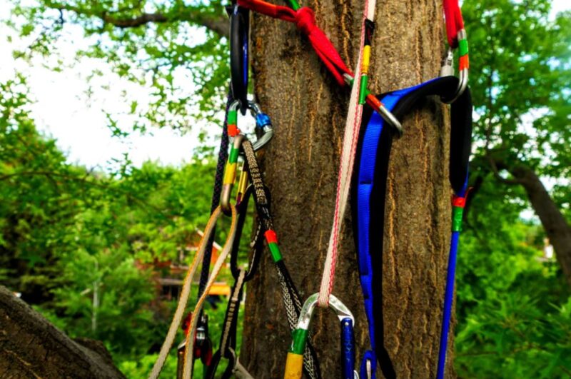 tree climbing ropes - Complete Guide to Tree Climbing