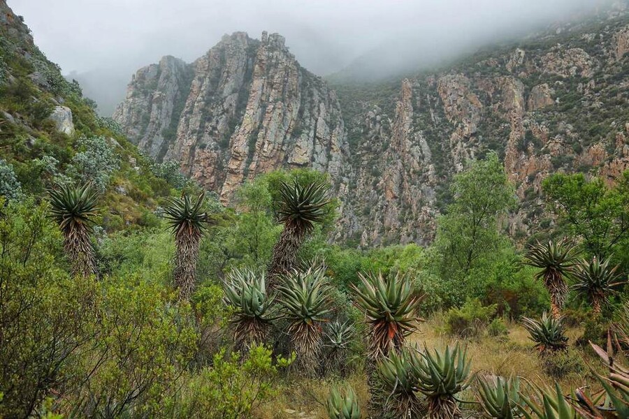 landscape mountains tanzania landscape mountains tanzania