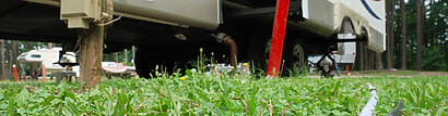 longest rv sewer hose longest rv sewer hose