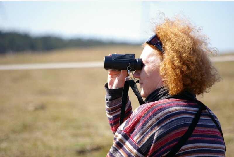 a basic pair of binoculars goes a long way to having a fruitful time birdwatching