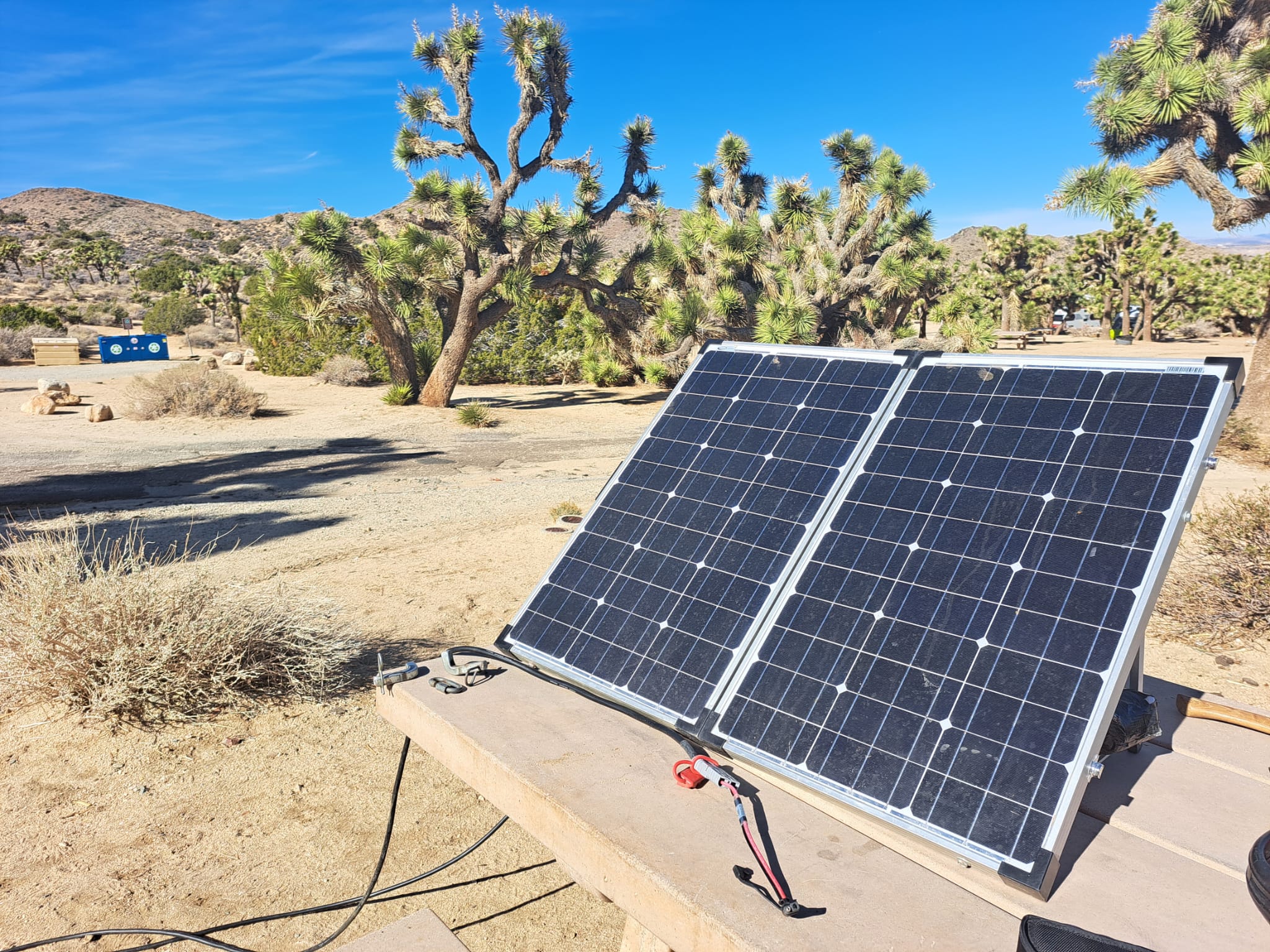 solar panels in an open area