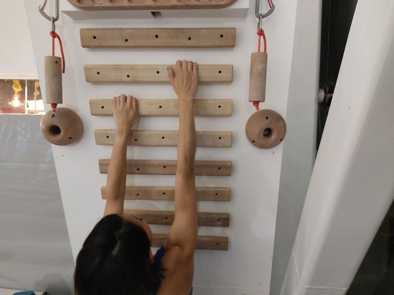 pull up bar grips og horizontal campus boards