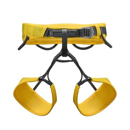 41aIMRgdvoL. SL450 Best Women's Climbing Harness