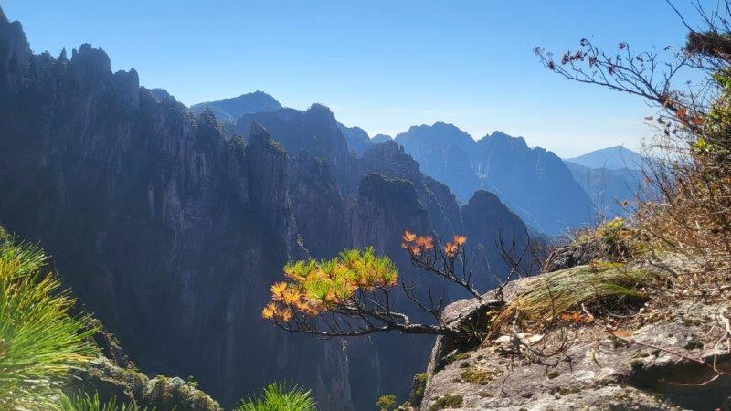 hiking at huangshan mountain trails