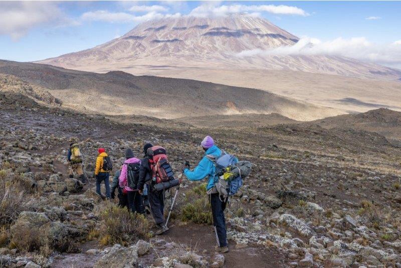 trekking up kilimanjaro