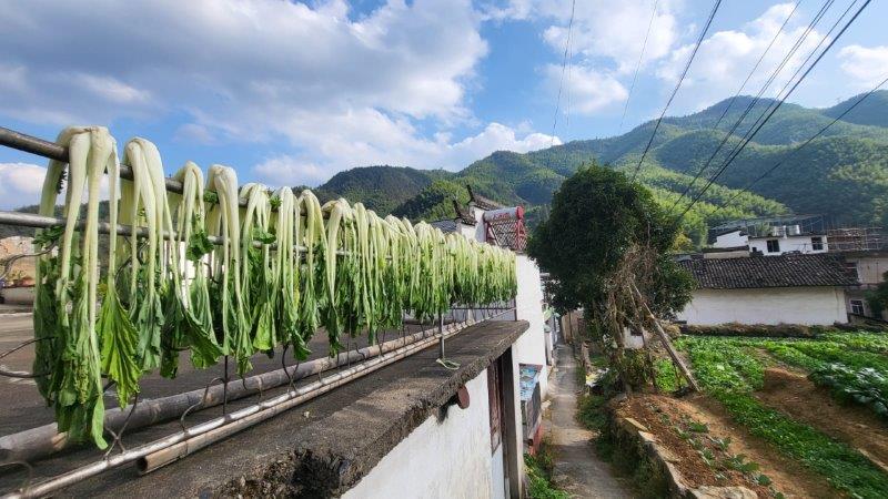 vegetable drying on huangshan
