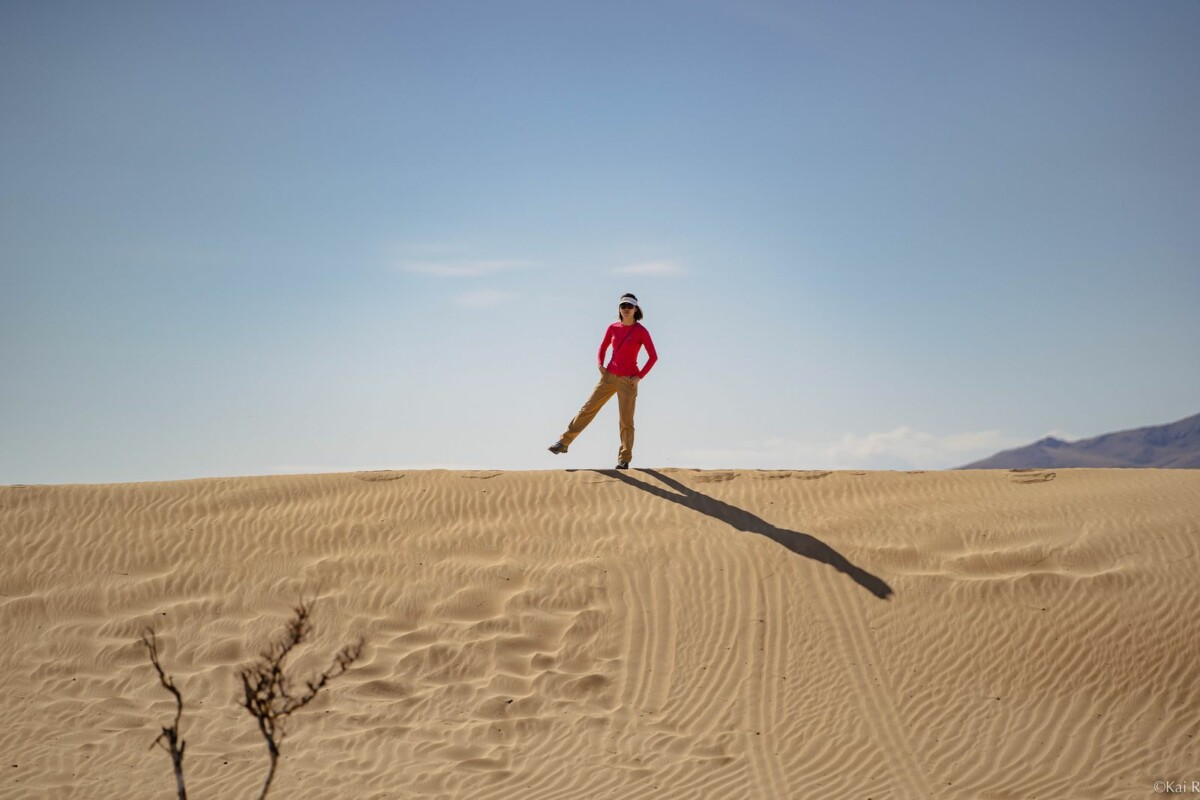 experience the tranquil beauty of the desert