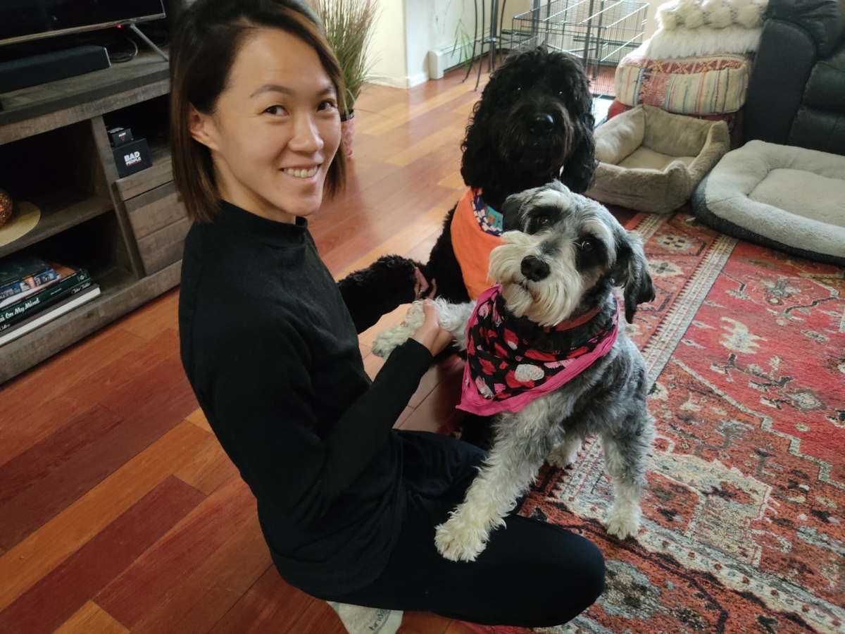 playing with a dog at a host's house