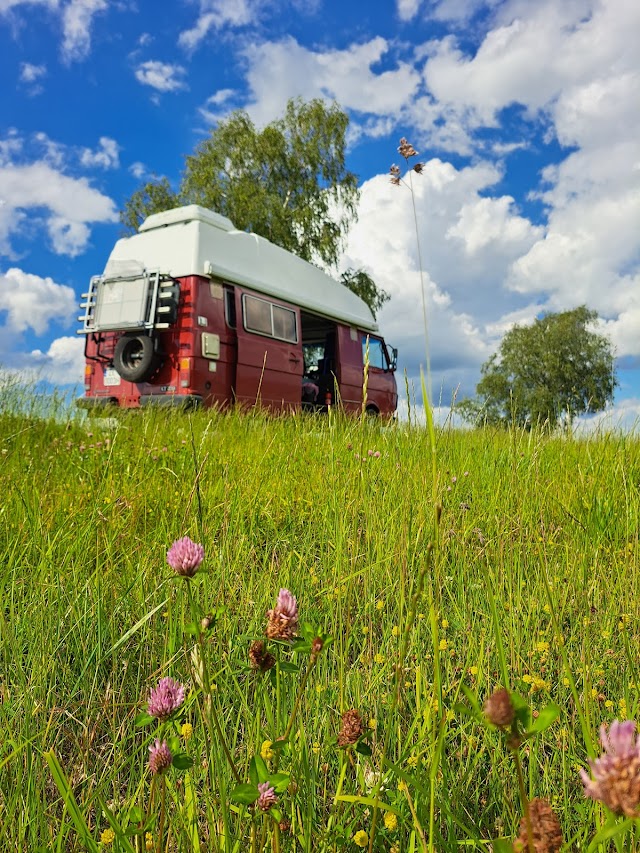 beautiful meadow on our trip across the Baltic and Scandinavian countries og beautiful meadow on our trip across the Baltic and Scandinavian countries og Beginner Guide to Campervaning around the Baltic countries